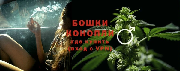 крисы Белоозёрский