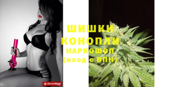 винт Белокуриха