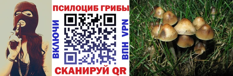 Псилоцибиновые грибы Magic Shrooms  магазин продажи наркотиков  Новая Усмань 